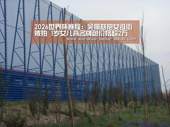 2026世界杯赛程：吴佩慈抱女逛街被拍 1岁女儿背名牌包价格超2万