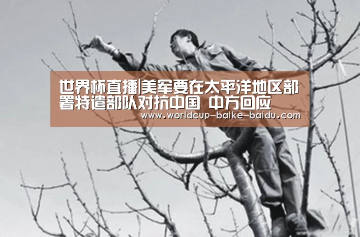 世界杯直播|美军要在太平洋地区部署特遣部队对抗中国 中方回应