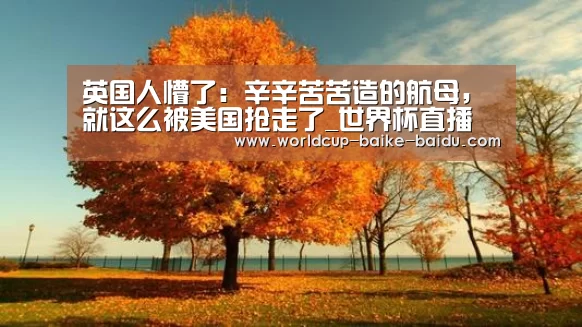 英国人懵了：辛辛苦苦造的航母，就这么被美国抢走了_世界杯直播