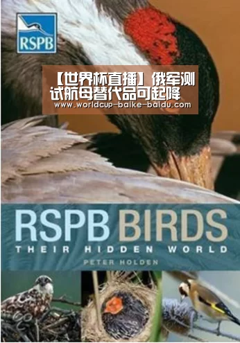 【世界杯直播】俄军测试航母替代品可起降直升机搭建只需数小时