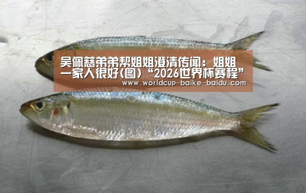 吴佩慈弟弟帮姐姐澄清传闻:姐姐一家人很好(图)“2026世界杯赛程”(图2) 世界杯直播