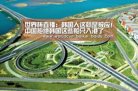 世界杯直播:韩国人这就是报应!中国拒绝韩国这些船只入港了