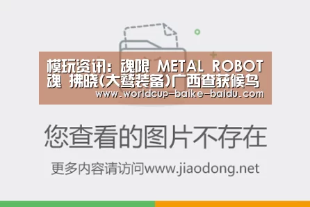模玩资讯:魂限 METAL ROBOT魂 拂晓(大鹫装备)广西查获候鸟窝点itunes64官方【2026世界杯赛程】